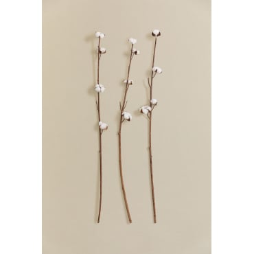 Set Van 3 Decoratieve Droge Takken Vedran Wit - Sklum