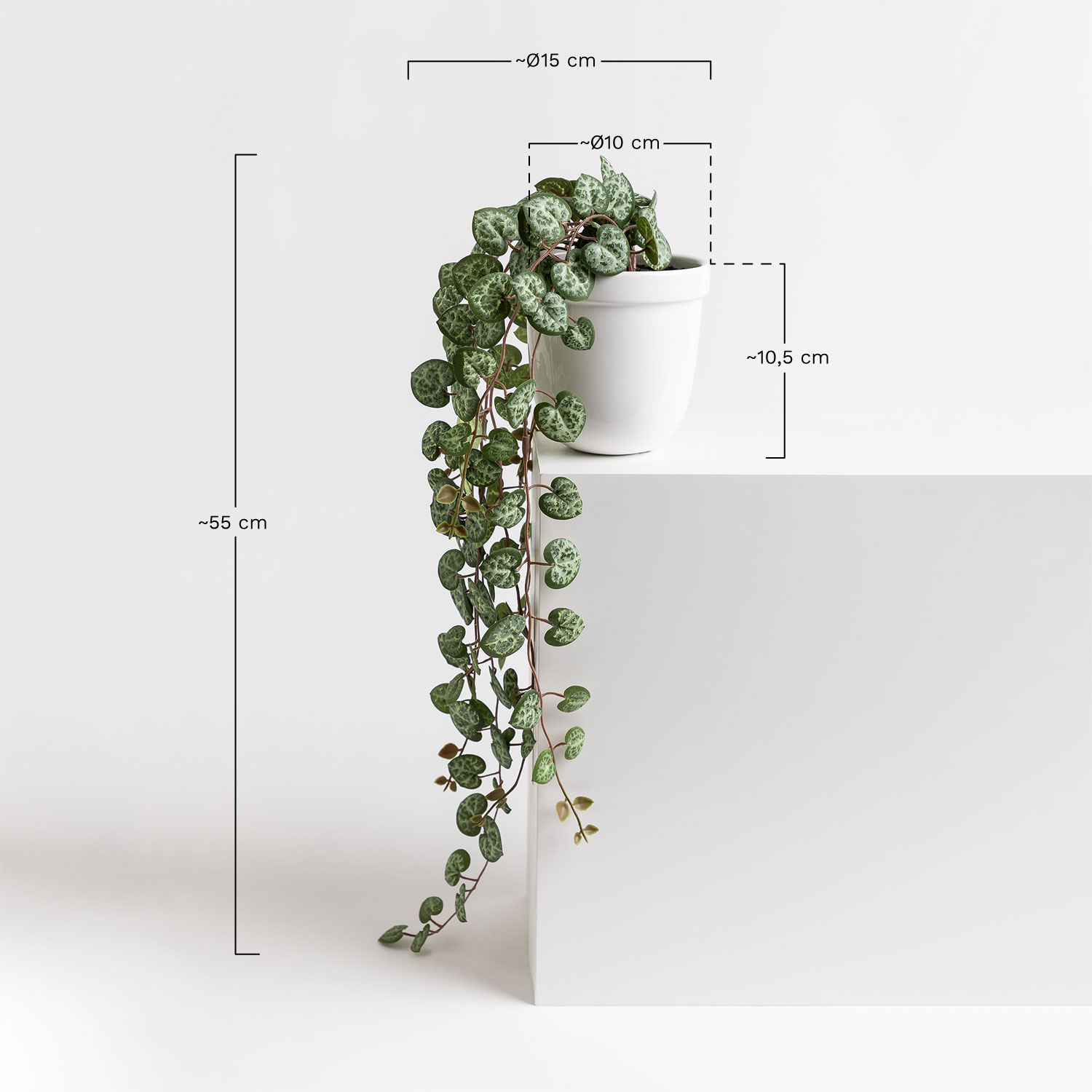 Decoratieve kunsthangplant Hartketting, AFMETINGEN