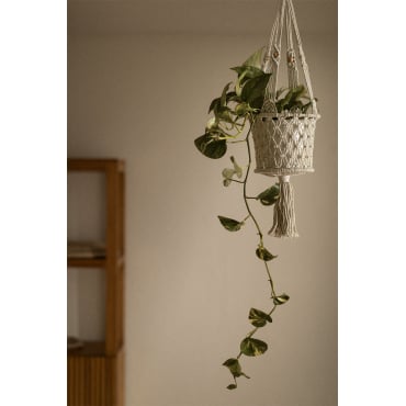 Astiages Macramé Hangende Plantenbak Beige – Crème - Sklum