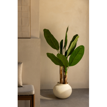 Decoratieve Bananen Kunstplant 140 Cm ↑140 Cm - Sklum