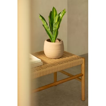 Decoratieve Kunstplant Dracaena 40 Cm 40 Cm - Sklum