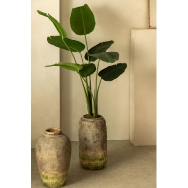 Strelitzia Decoratieve Kunstplant ↑110 Cm - Sklum