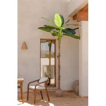 Decoratieve Bananen Kunstboom 330 Cm ↑330 Cm - Sklum