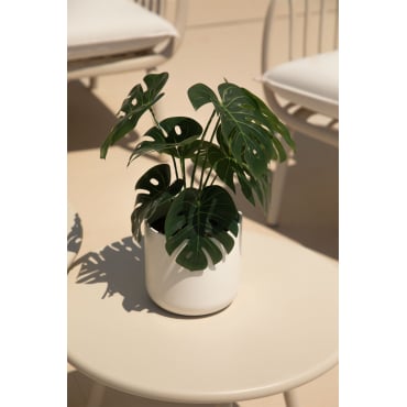 Decoratieve Kunstplant Monstera 35 Cm ↑35 Cm - Sklum