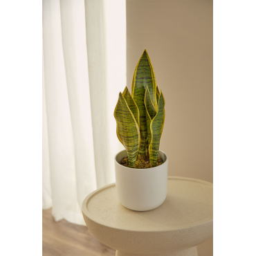 Decoratieve Kunstplant Sansevieria 40 Cm 40 Cm - Sklum
