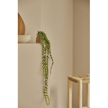 Decoratieve Kunsthangplant Dischidia Donkergroen - Sklum