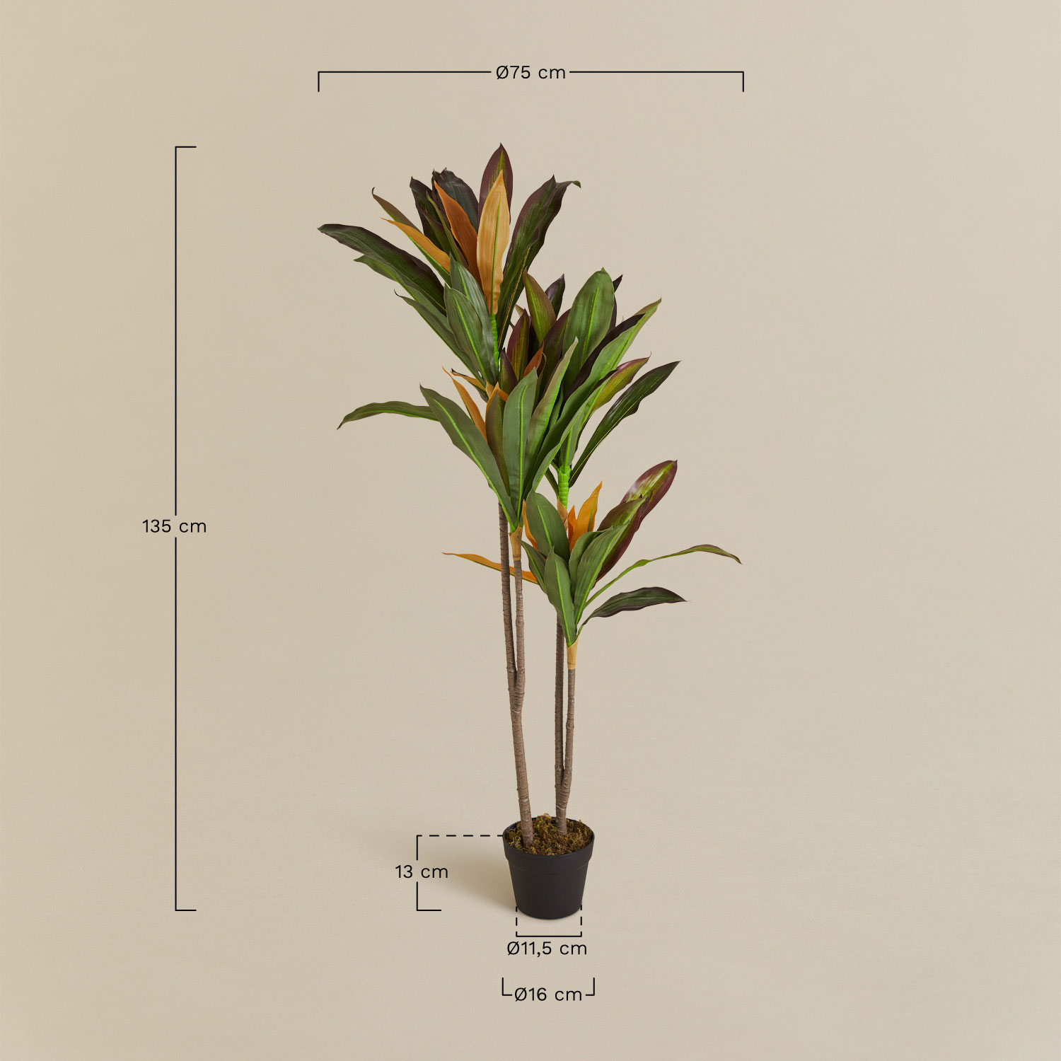 Dracaena decoratieve kunstplant, AFMETINGEN