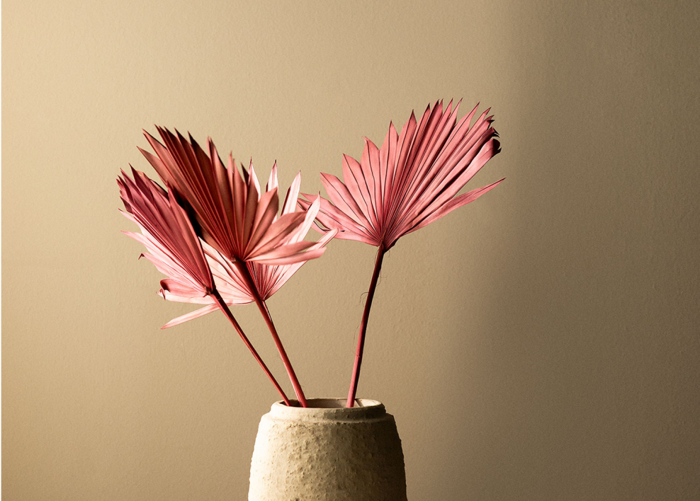 Verpakking van 4 Urpek decoratieve gedroogde takken