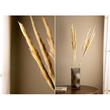 Decoratieve Coco takken bundel naturel