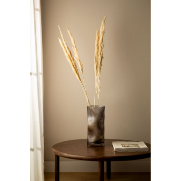 Verpakking Van 6 Decoratieve Gedroogde Takken Megana Beige – Crème - Sklum