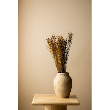 Bairad Decoratief Gedroogde Bloemenboeket Bruin - Tarwe - Sklum
