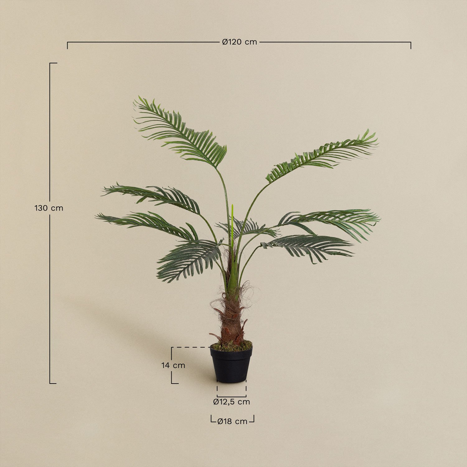 Decoratieve kunstplant Palmera Design, AFMETINGEN