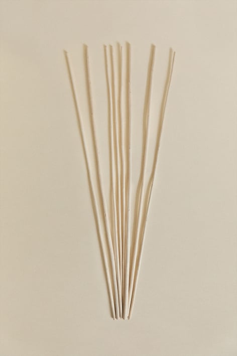 Set van 8 decoratieve gedroogde takken Olitorius