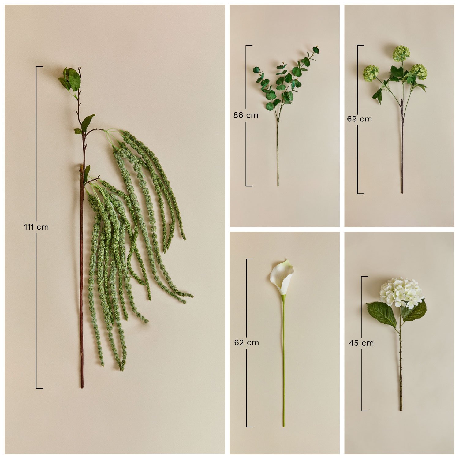 Decoratieve tak Silvermist, AFMETINGEN