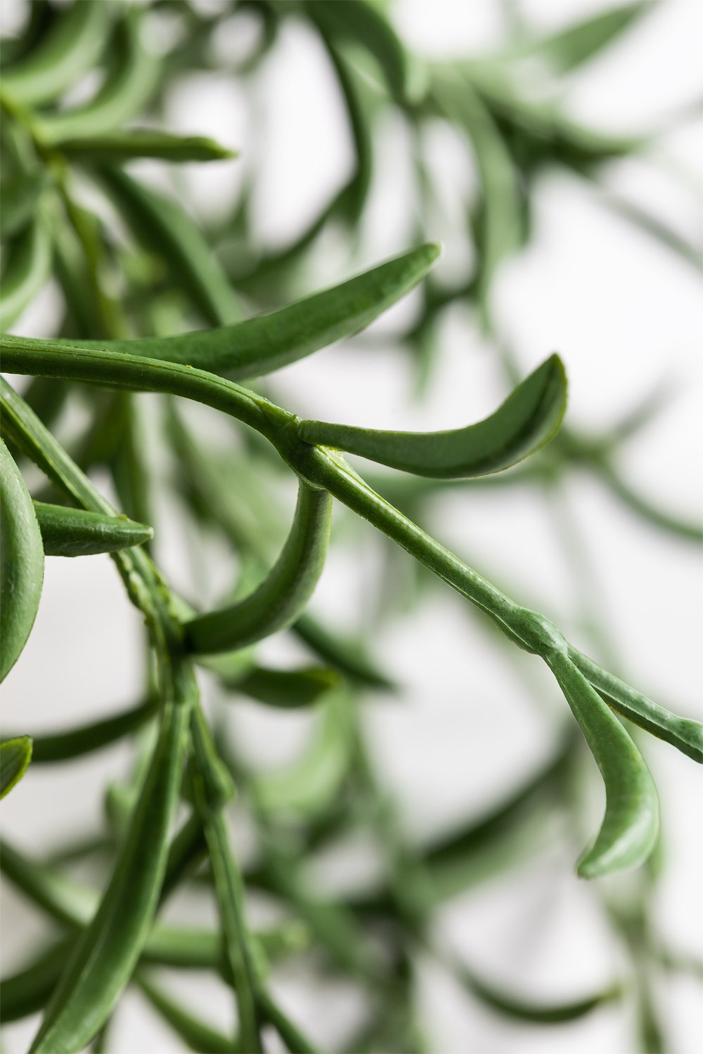 Decoratieve kunsthangplant Senecio Radicans, galerij beeld 3