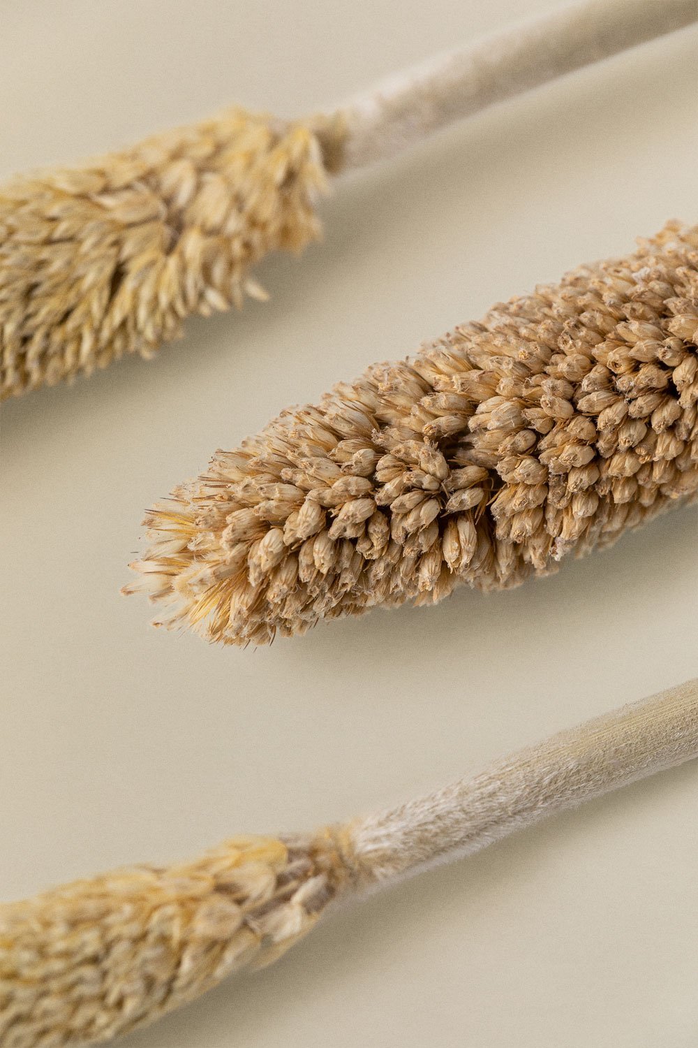 Decoratief Boeket Koty, galerij beeld 3