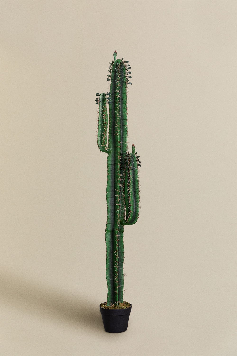 Kunst Cactus Cereus 153 cm, galerij beeld 2