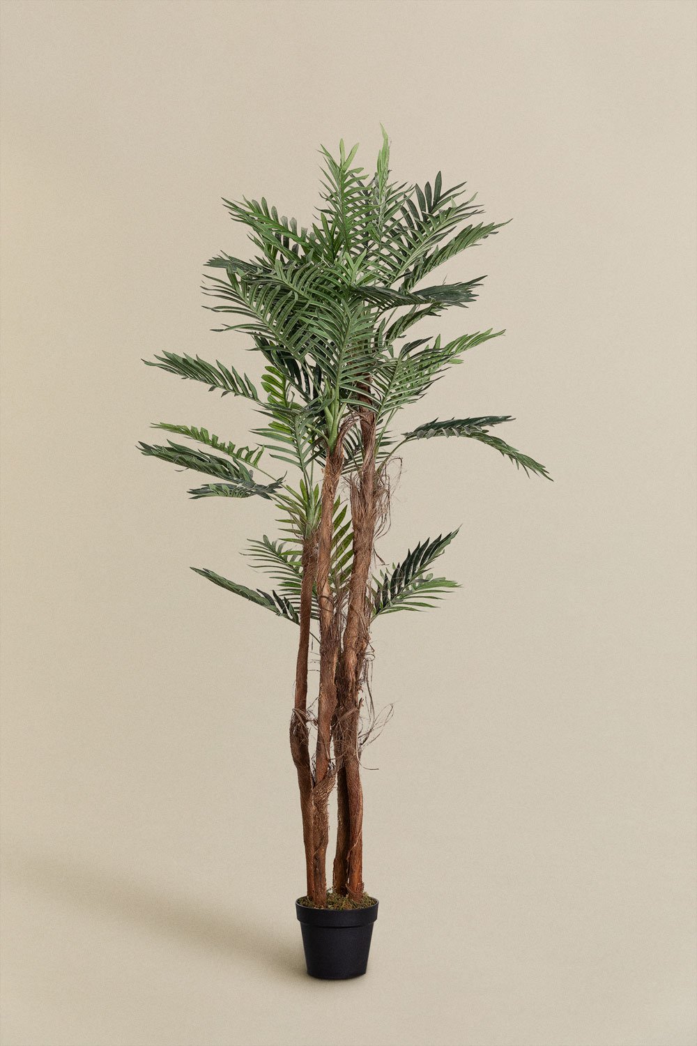 Kunstplant palmboom Design, galerij beeld 2
