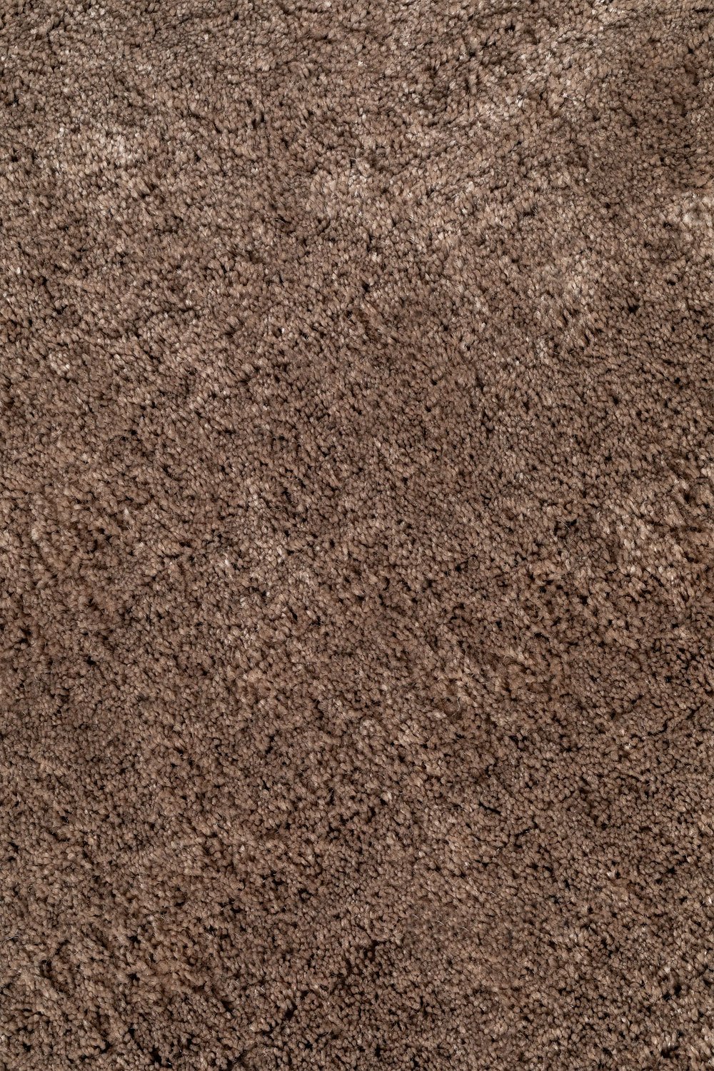 Daroca-tapijt, galerij beeld 4