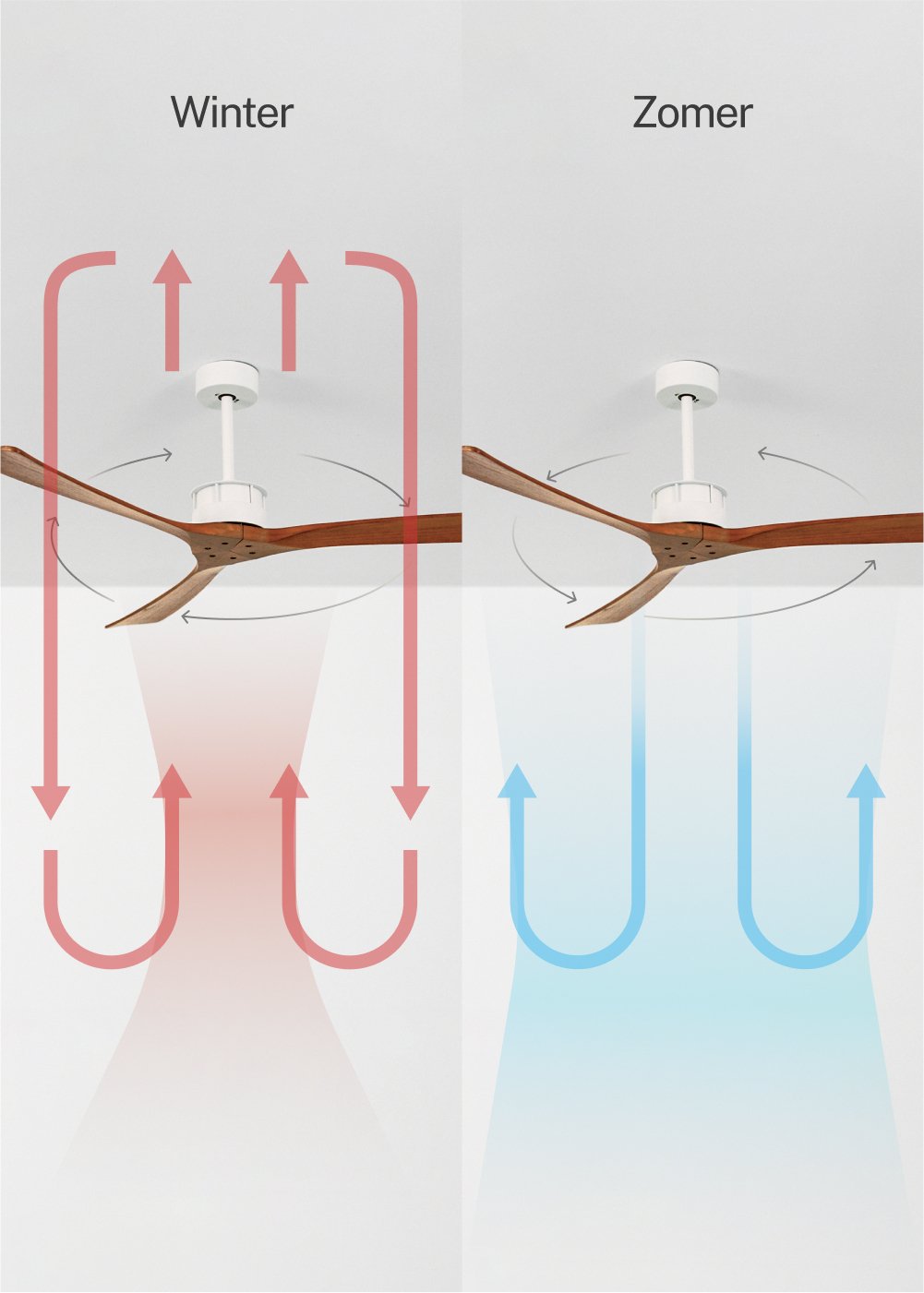 CREATE - WIND LARGE - Plafondventilator 40W silent XL Ø152 cm 100% hout, galerij beeld 3