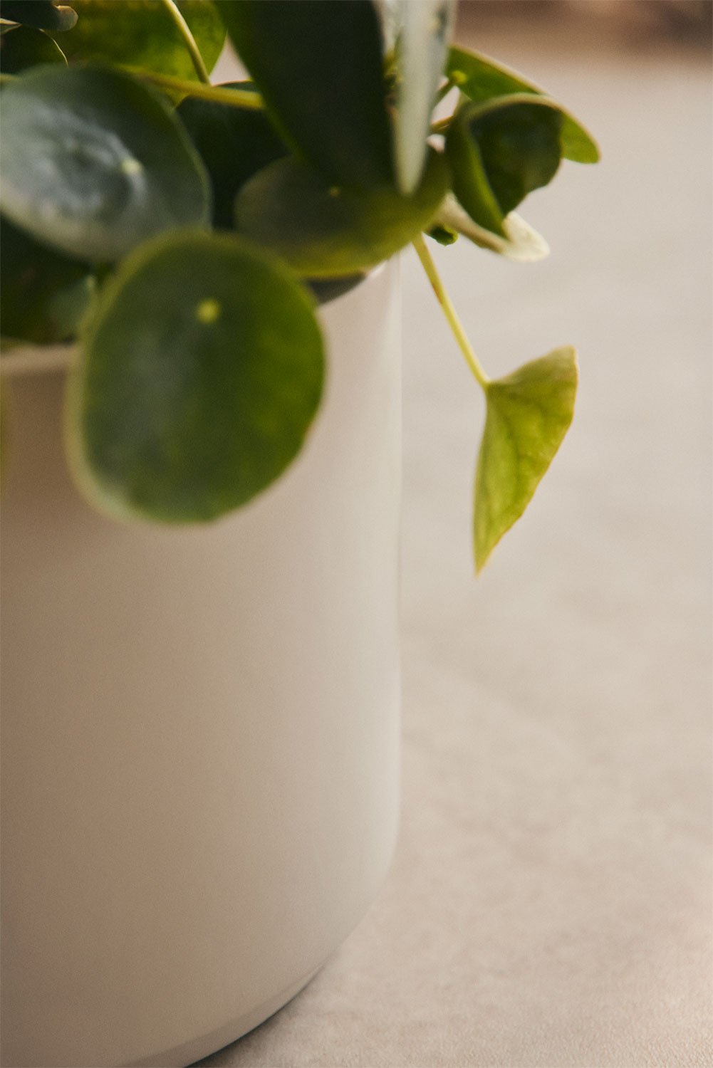 Saturn polystone plantenbak, galerij beeld 2
