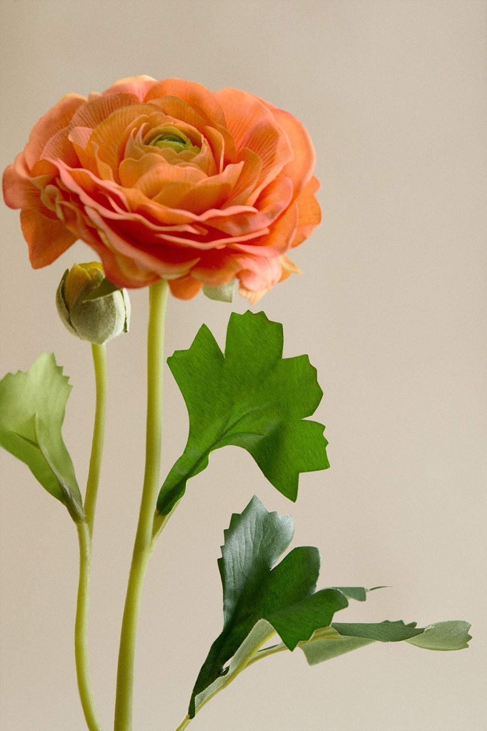 Elsira decoratieve boeket, galerij beeld 5