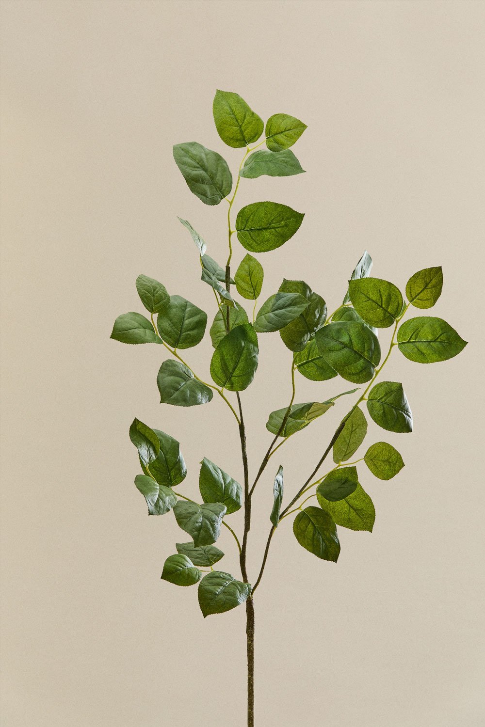 Iridessa decoratieve bos, galerij beeld 11