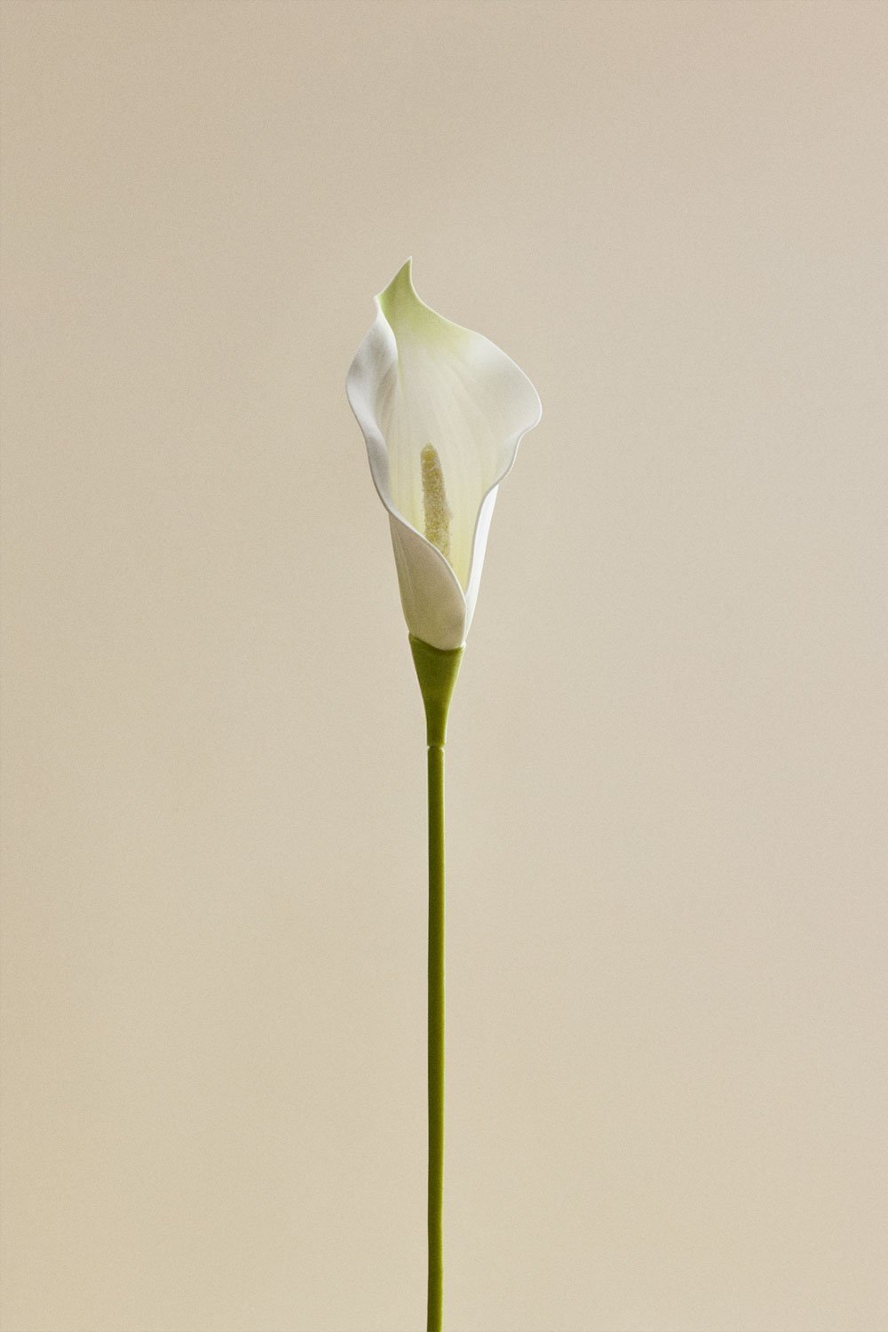 Decoratieve tak Silvermist, galerij beeld 9