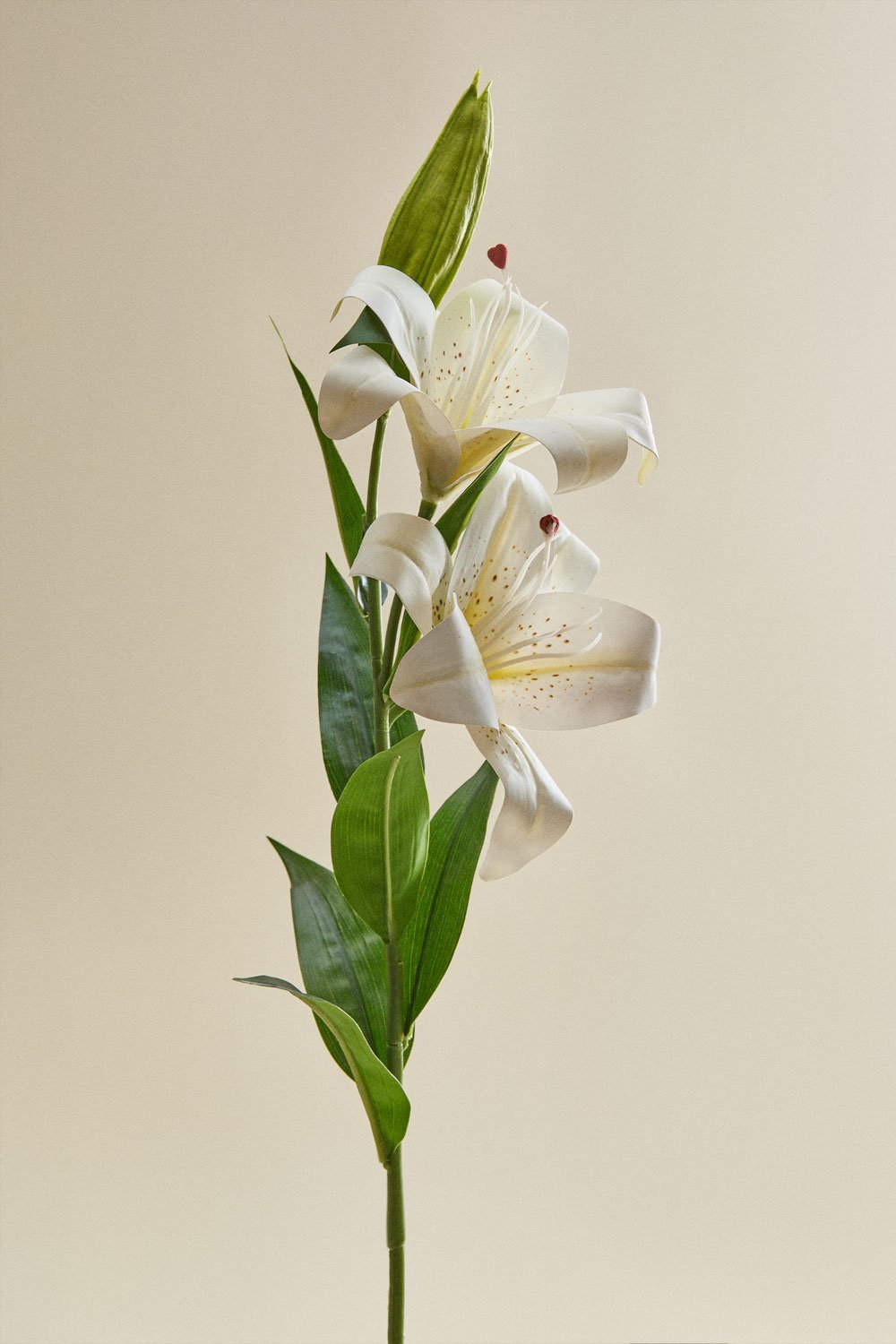 Decoratieve bos Agavriel, galerij beeld 3