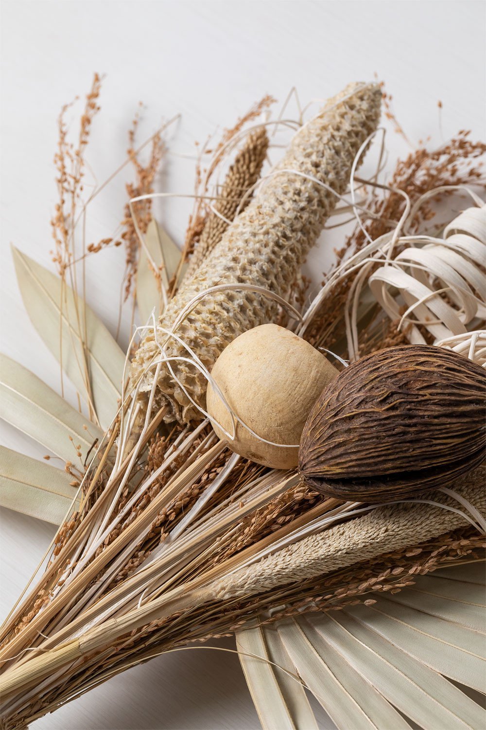 Gałąź dekoracyjna Borasus, obrazek w galerii 3