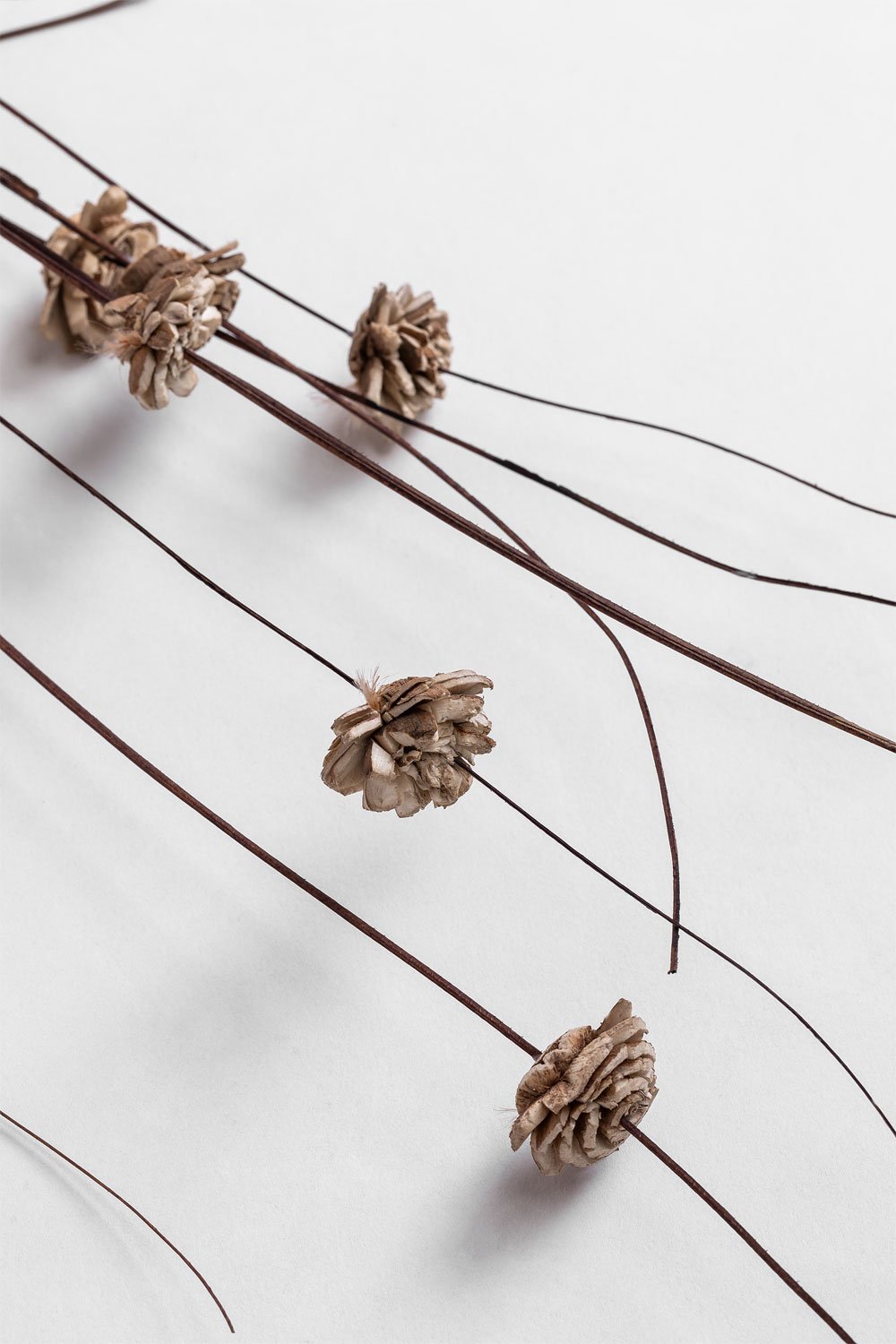 Dekoracyjne gałązki Zinia, obrazek w galerii 5