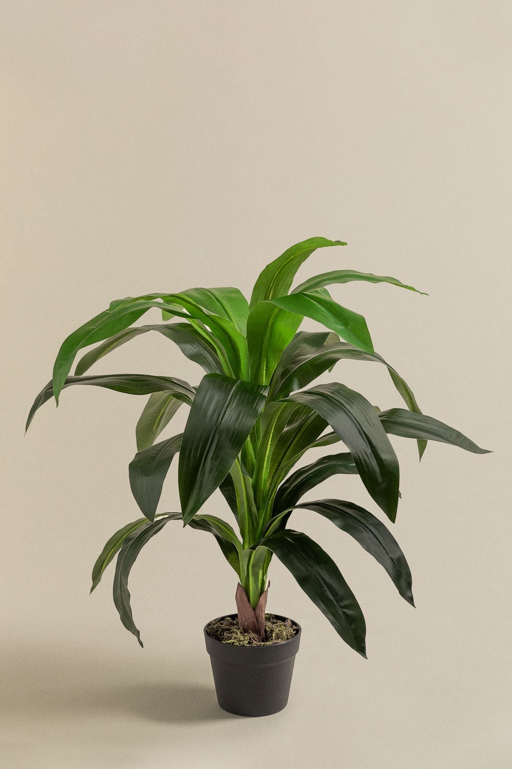 Dekoracyjna sztuczna roślina Dracanea, obrazek w galerii 1