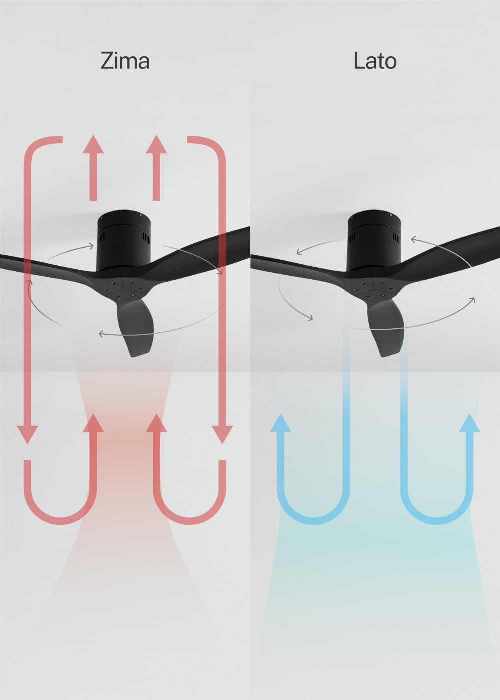 CREATE - WIND CALM - Ventilador de techo 40W silencioso Ø132 cm 100% madera, obrazek w galerii 3