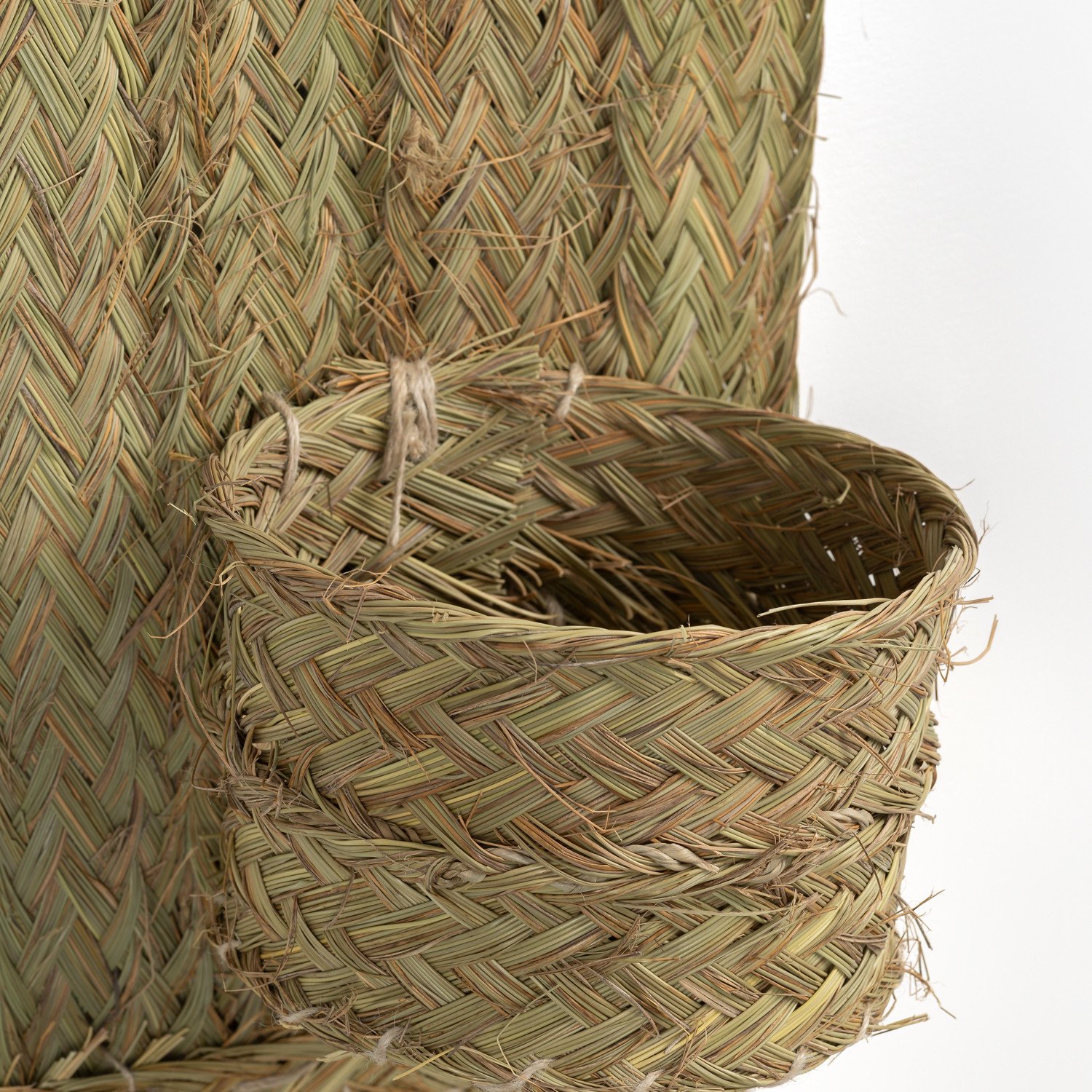 Doniczka Ścienna w Esparto Estipa, obrazek w galerii 631410