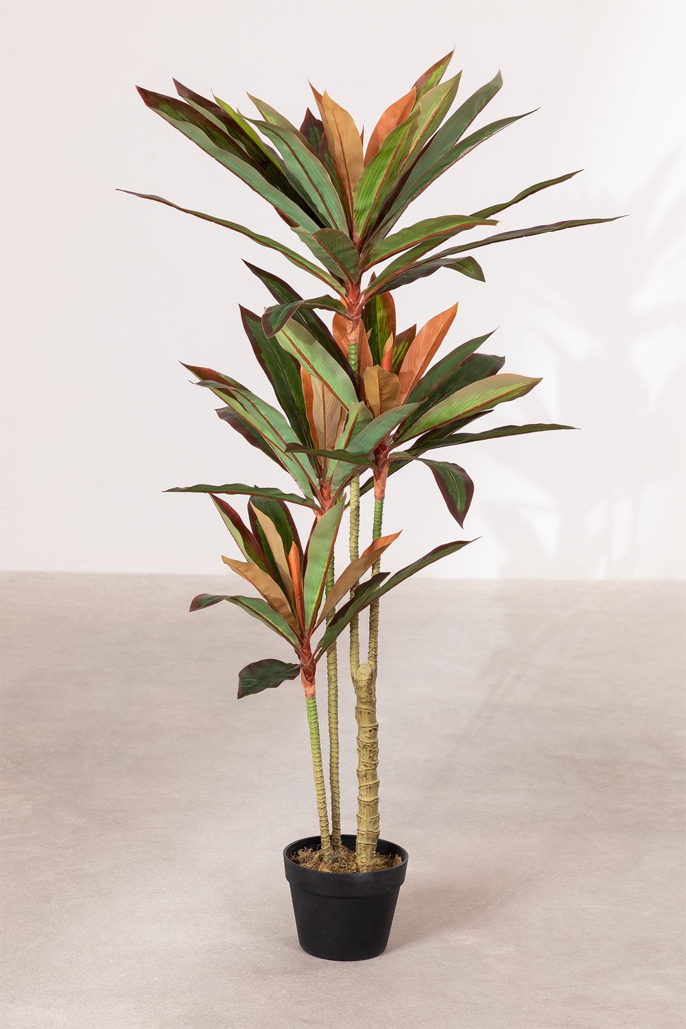 Planta Artificial Decorativa Dracaena Design, imagem de galeria 1
