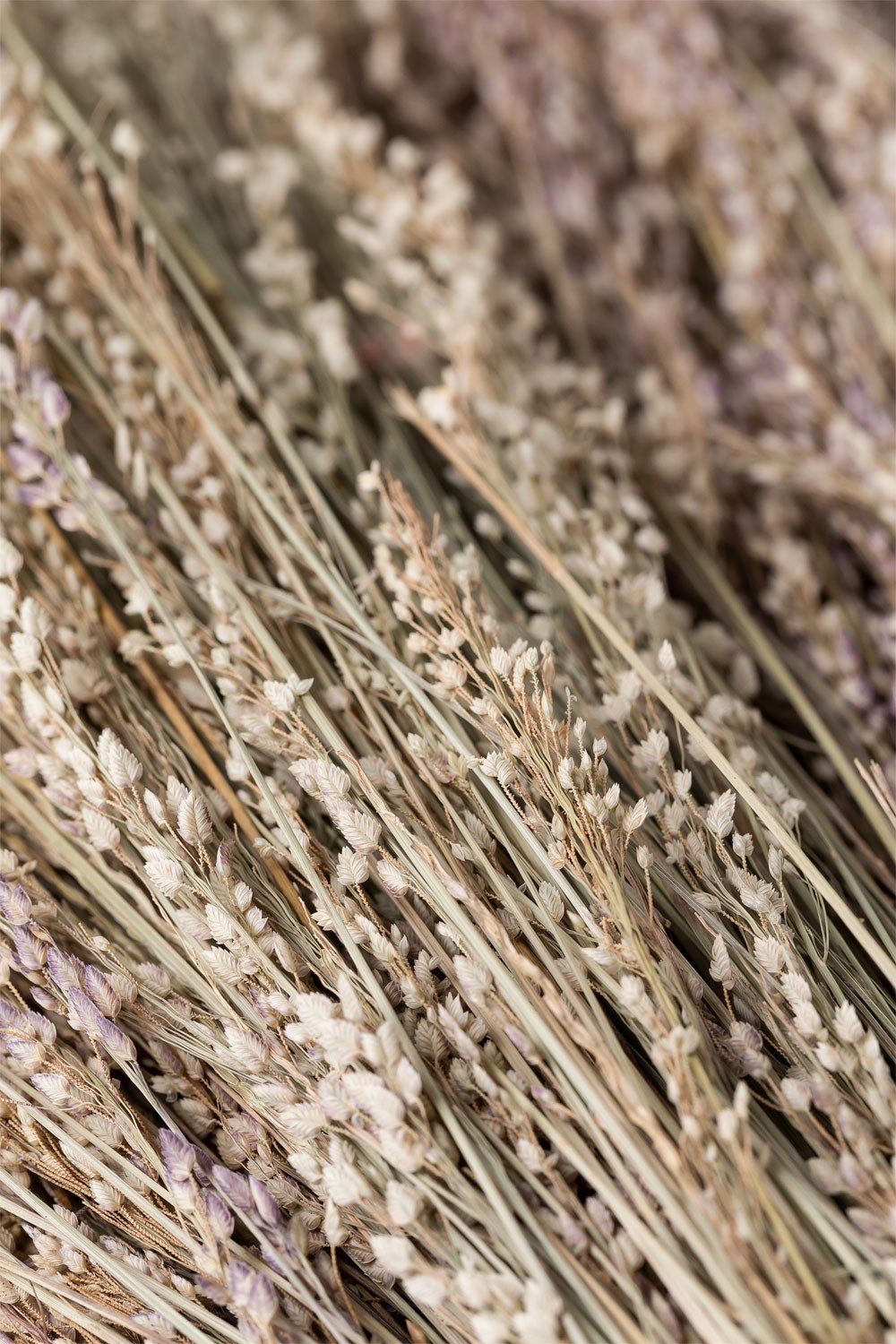 Ramo Decorativo Ainala    , imagem de galeria 4