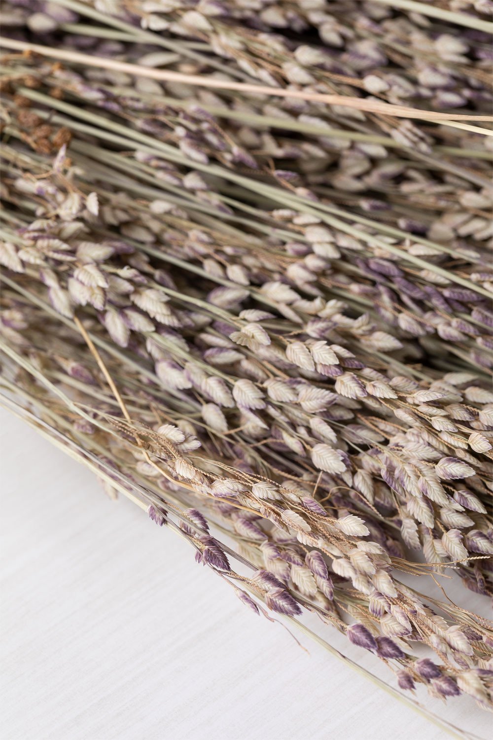 Ramo Decorativo Ainala    , imagem de galeria 5