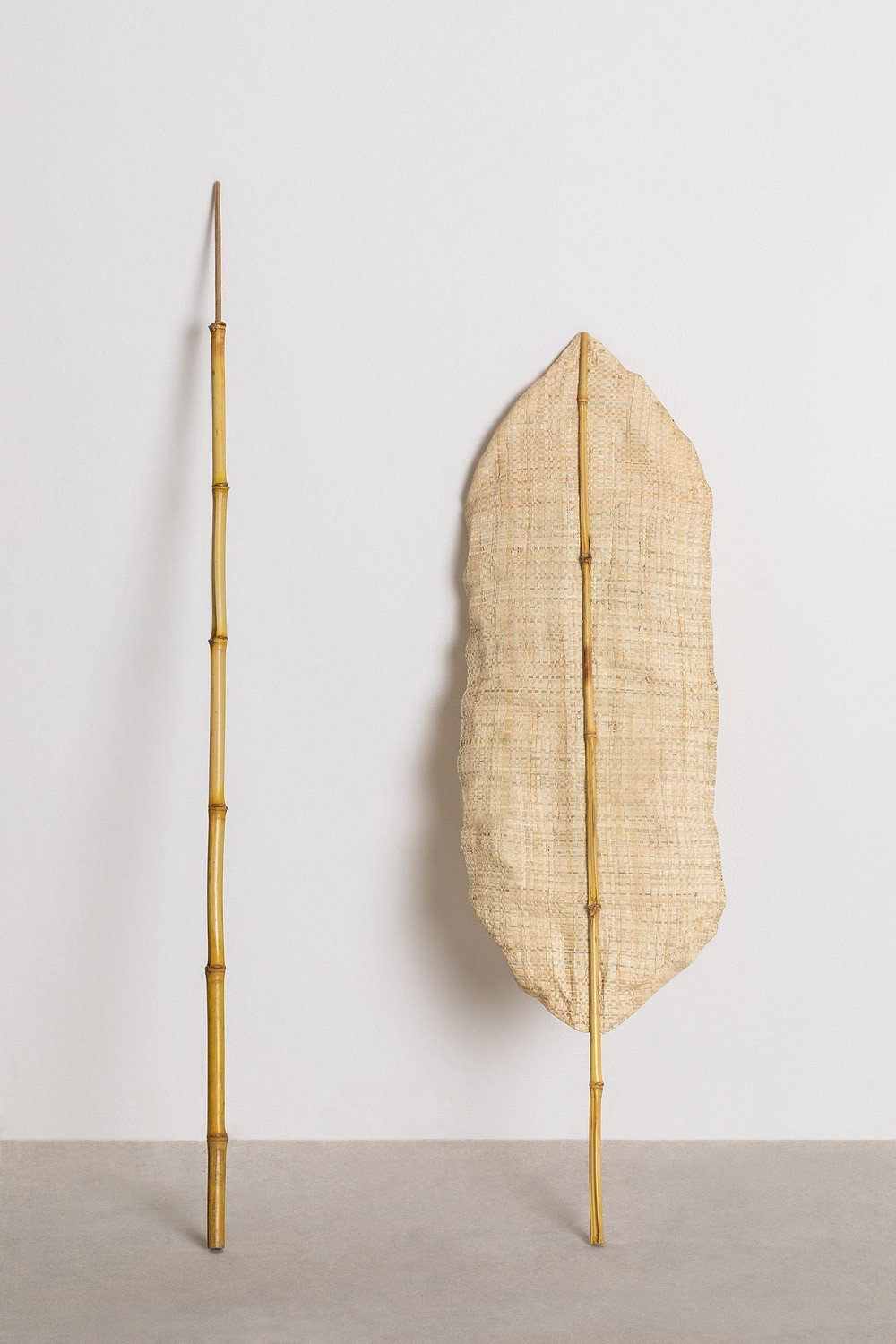 Rama Seca Goni 200 cm , imagem de galeria 5