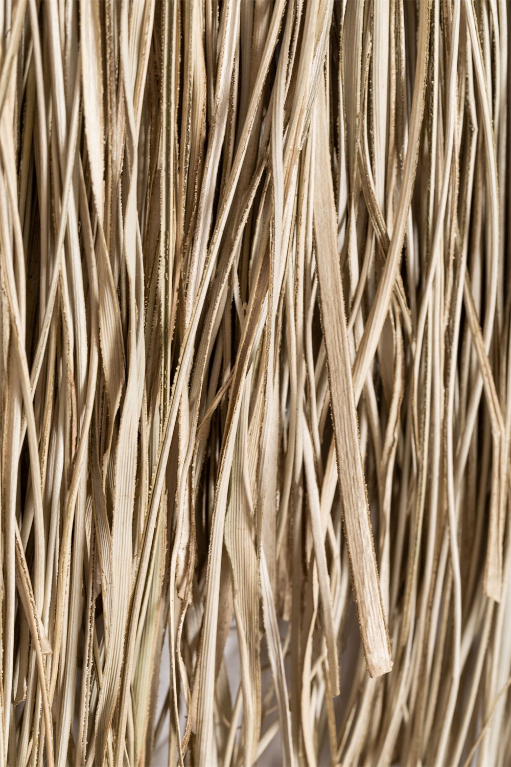 Decoração de Parede Cesugo, imagem de galeria 6