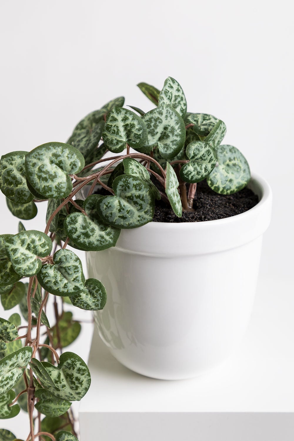 Colar de coração com planta artificial decorativa pendurada, imagem de galeria 3