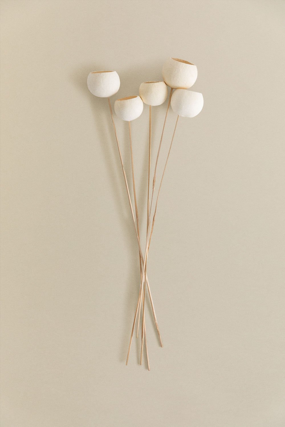 Pacote com 5 ramos secos decorativos Aegle               , imagem de galeria 3