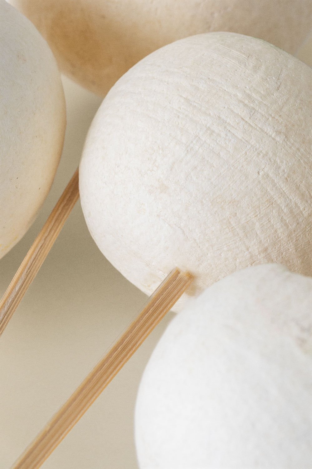 Pacote com 5 ramos secos decorativos Aegle               , imagem de galeria 5