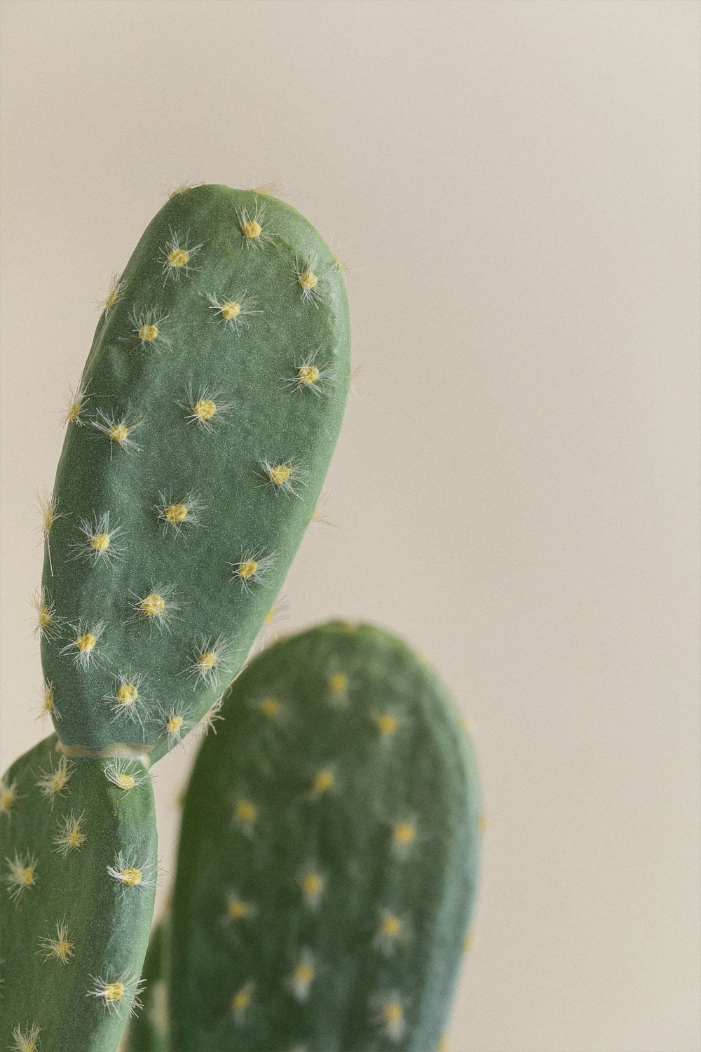 Cacto Artificial Opuntia 72 cm, imagem de galeria 4