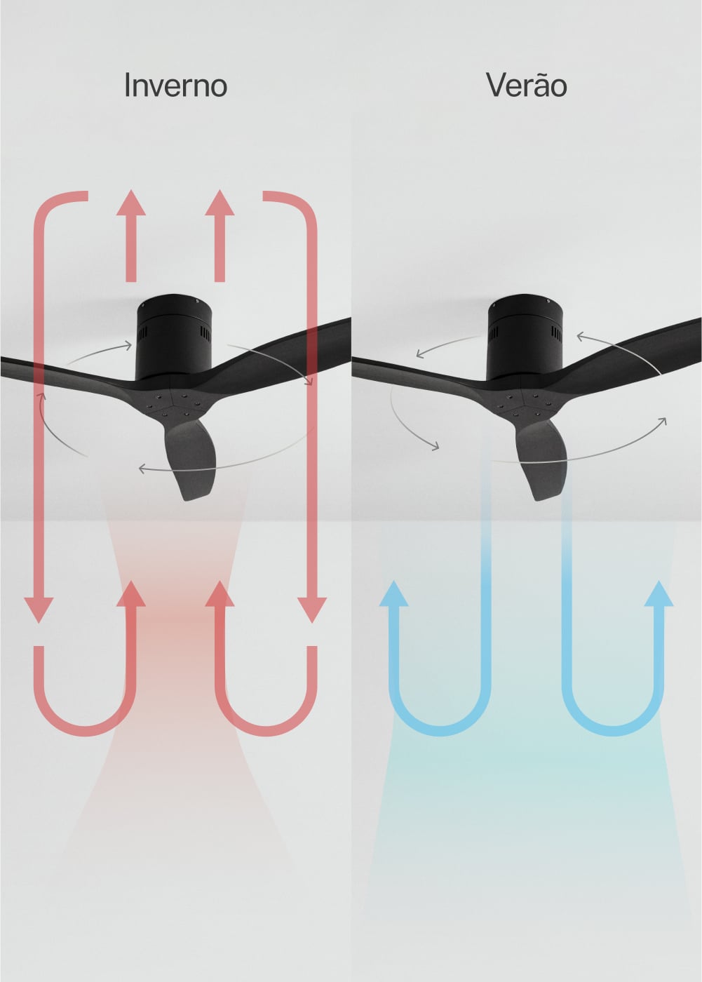 CREATE - WIND CALM - Ventilador de techo 40W silencioso Ø132 cm 100% madera, imagem de galeria 3