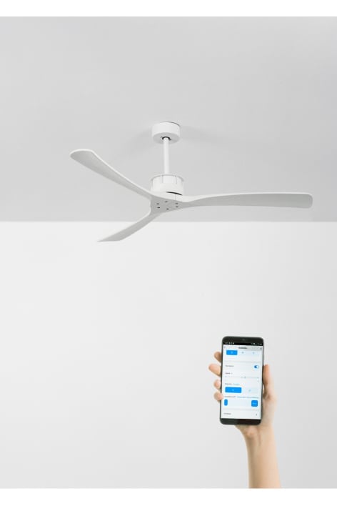 CREATE - WIND LARGE - Ventoinha de teto 40W silencioso XL Ø152 cm 100% madeira