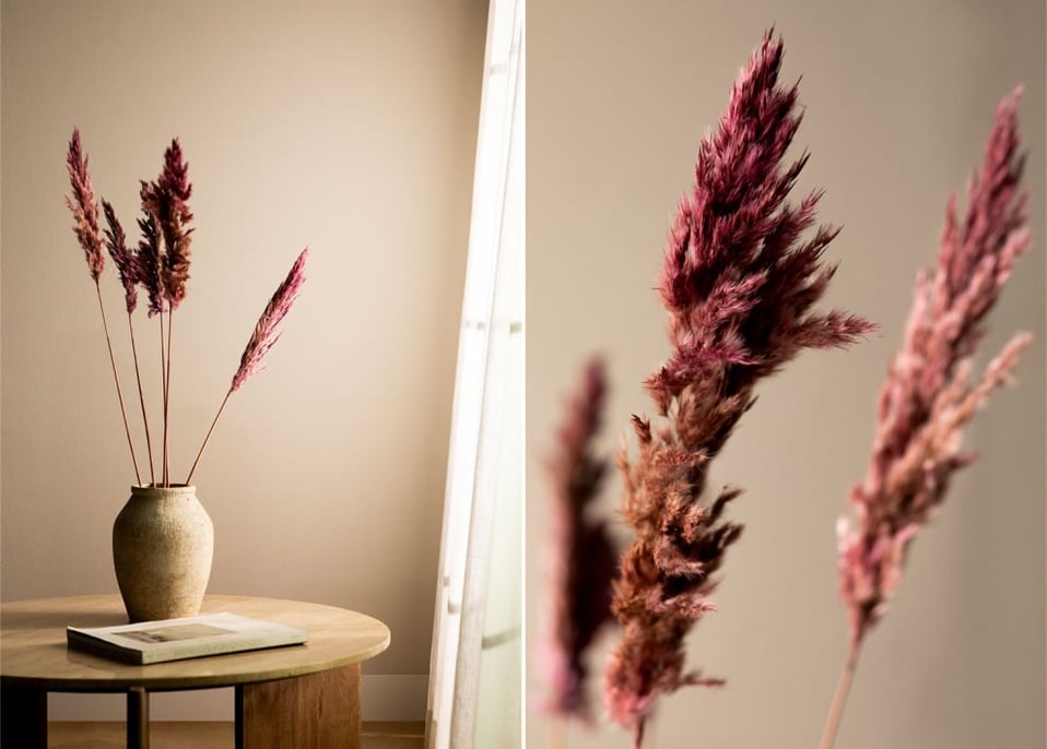 Pacote com 5 galhos secos decorativos Dagrai