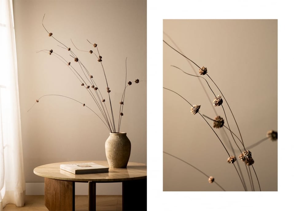 Pack com 10 Ramos Secos Decorativos Zinia