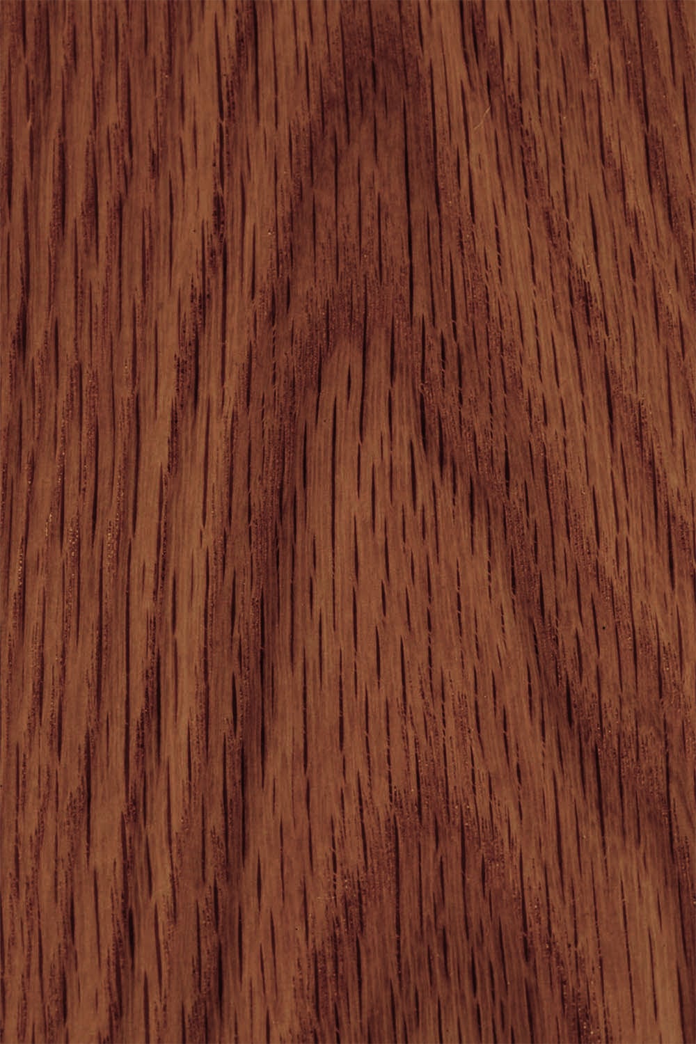 Mesa de centro retangular 100x65 cm em madeira Treveris, imagem de galeria 4