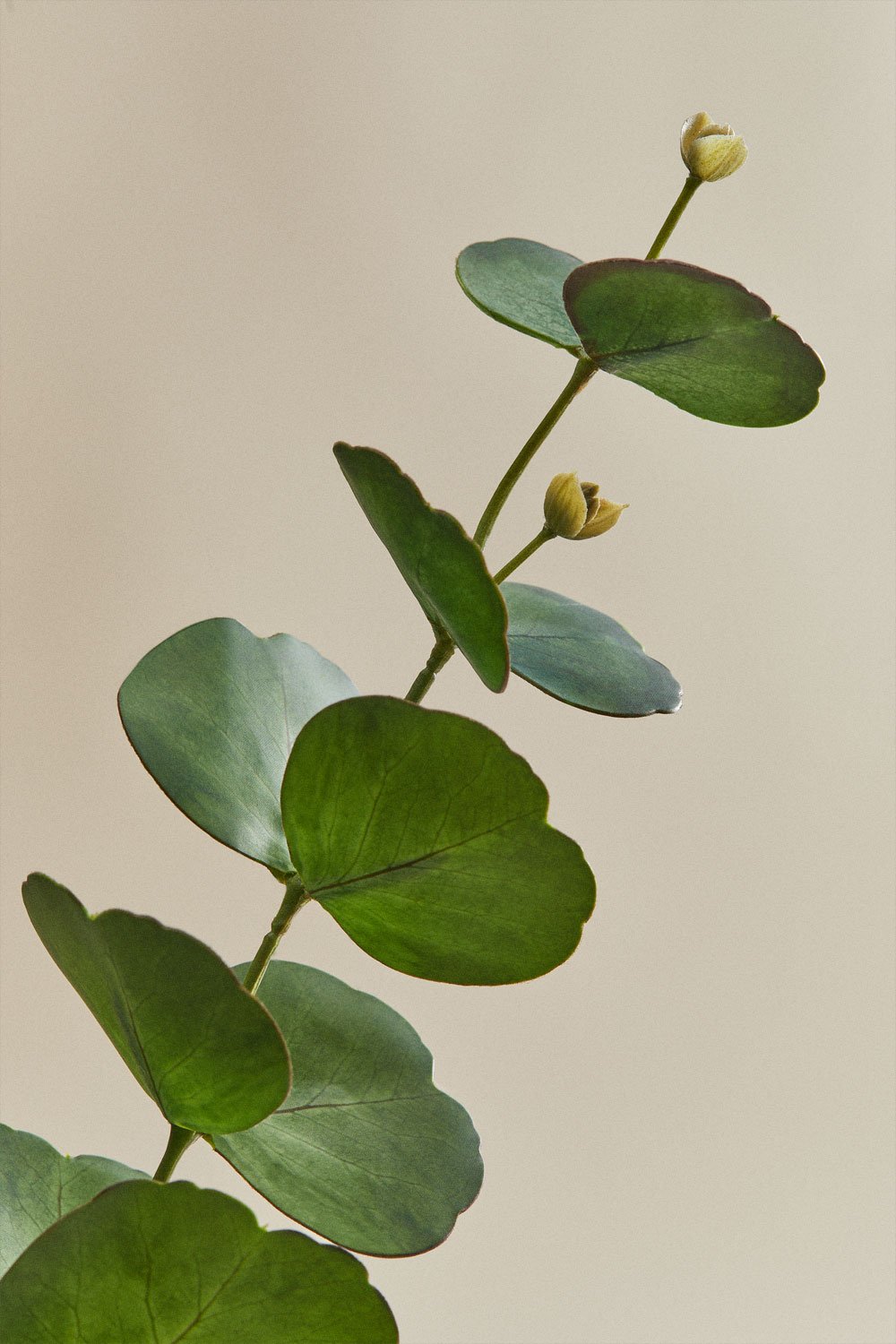 Ramo decorativo Bellina, imagem de galeria 8