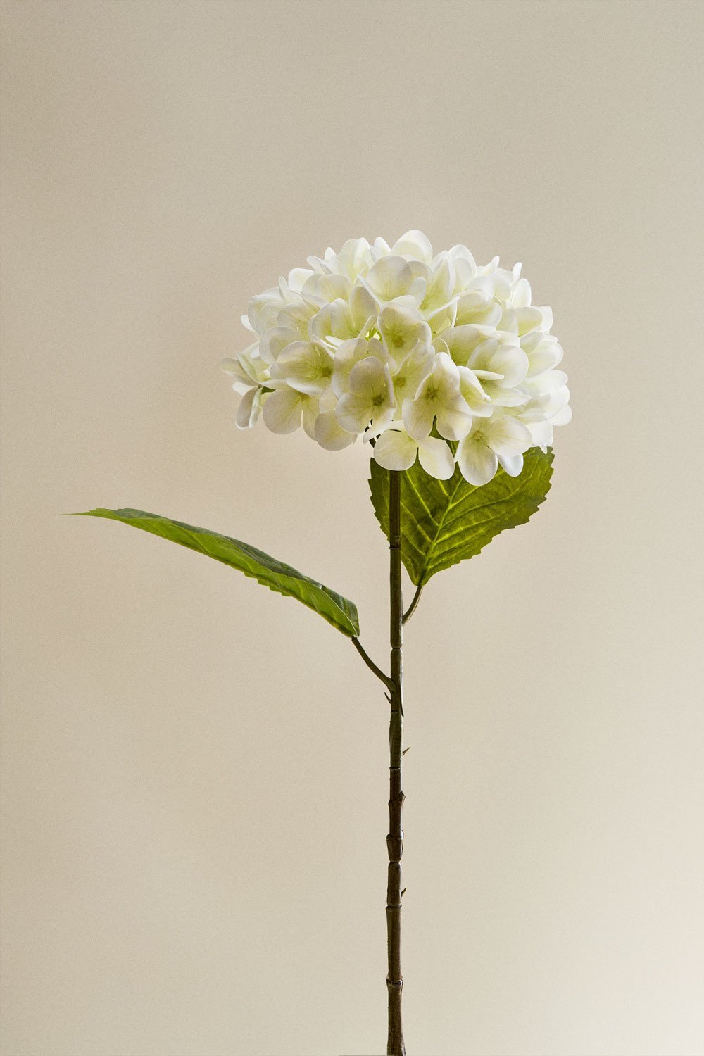 Pack de 2 flores decorativas Arielian, imagem de galeria 4